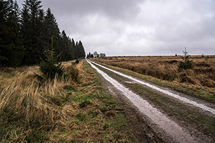 Fotos-Eifel-Hohes-Venn