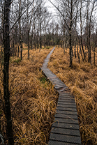 Fotos-Eifel-Hohes-Venn