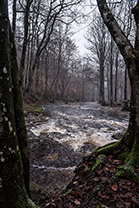 Fotos-Eifel-Hohes-Venn