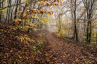 Fotos-Eifel-Hohes-Venn