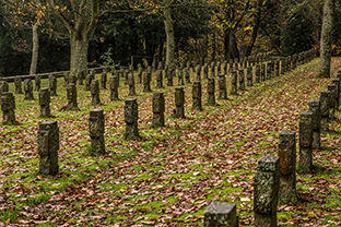 Fotos-Eifel-Hohes-Venn