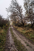 Fotos-Eifel-Hohes-Venn