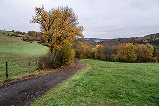 Fotos-Eifel-Hohes-Venn