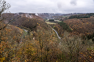 Fotos-Eifel-Hohes-Venn