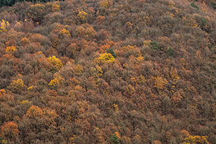 Fotos-Eifel-Hohes-Venn