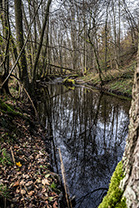 Fotos-Eifel-Hohes-Venn
