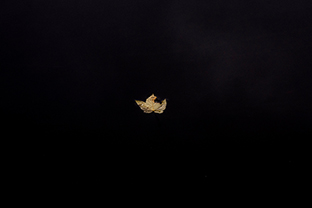 Fotos-Eifel-Hohes-Venn