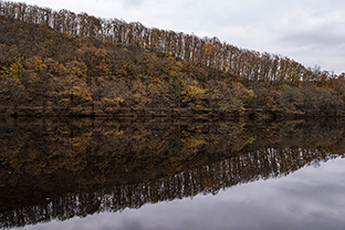 Fotos-Eifel-Hohes-Venn