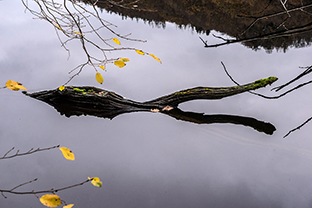 Fotos-Eifel-Hohes-Venn