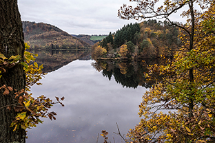Fotos-Eifel-Hohes-Venn
