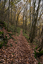 Fotos-Eifel-Hohes-Venn