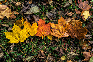 Fotos-Eifel-Hohes-Venn