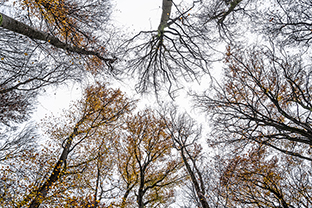 Fotos-Eifel-Hohes-Venn