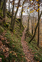 Fotos-Eifel-Hohes-Venn