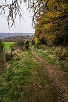 Fotos-Eifel-Hohes-Venn