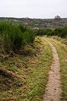 Fotos-Eifel-Hohes-Venn