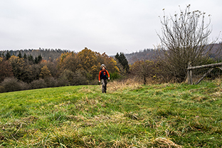 Fotos-Eifel-Hohes-Venn