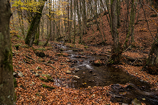 Fotos-Eifel-Hohes-Venn