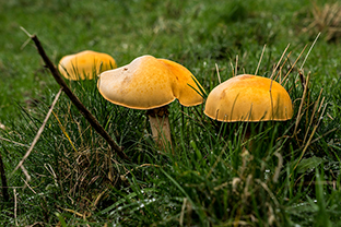 Fotos-Eifel-Hohes-Venn