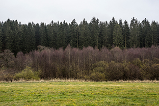 Fotos-Eifel-Hohes-Venn