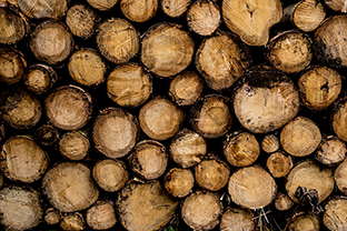 Fotos-Eifel-Hohes-Venn