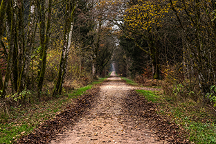 Fotos-Eifel-Hohes-Venn
