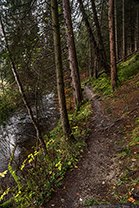Fotos-Eifel-Hohes-Venn