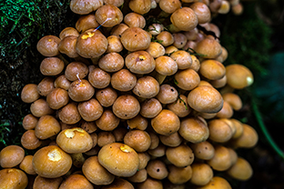 Fotos-Eifel-Hohes-Venn