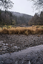 Fotos-Eifel-Hohes-Venn