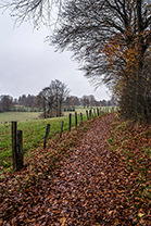 Fotos-Eifel-Hohes-Venn