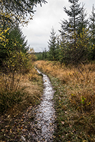 Fotos-Eifel-Hohes-Venn