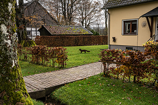 Fotos-Eifel-Hohes-Venn