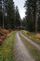 Fotos-Eifel-Hohes-Venn