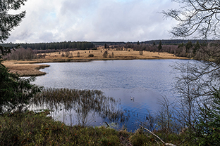 Fotos-Eifel-Hohes-Venn