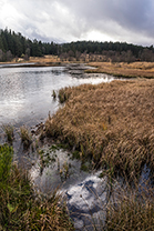 Fotos-Eifel-Hohes-Venn