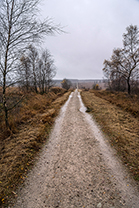Fotos-Eifel-Hohes-Venn
