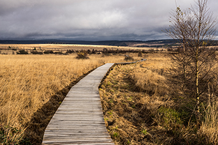 Fotos-Eifel-Hohes-Venn