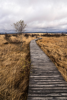 Fotos-Eifel-Hohes-Venn