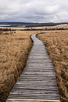Fotos-Eifel-Hohes-Venn