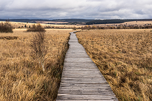 Fotos-Eifel-Hohes-Venn