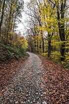 Fotos-Eifel-Hohes-Venn