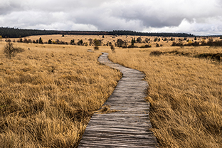 Fotos-Eifel-Hohes-Venn
