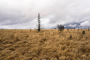 Fotos-Eifel-Hohes-Venn