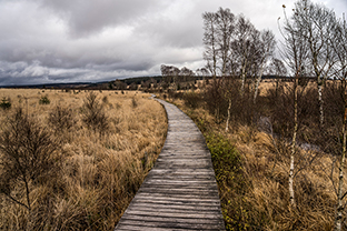 Fotos-Eifel-Hohes-Venn