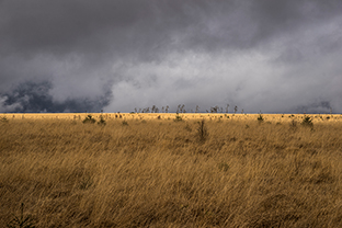 Fotos-Eifel-Hohes-Venn