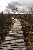 Fotos-Eifel-Hohes-Venn