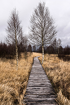 Fotos-Eifel-Hohes-Venn