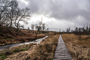 Fotos-Eifel-Hohes-Venn
