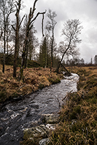 Fotos-Eifel-Hohes-Venn