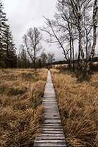 Fotos-Eifel-Hohes-Venn